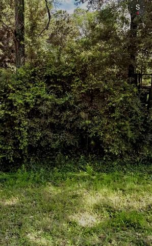 407 Pin Oak Drive, Highlands, TX 77562