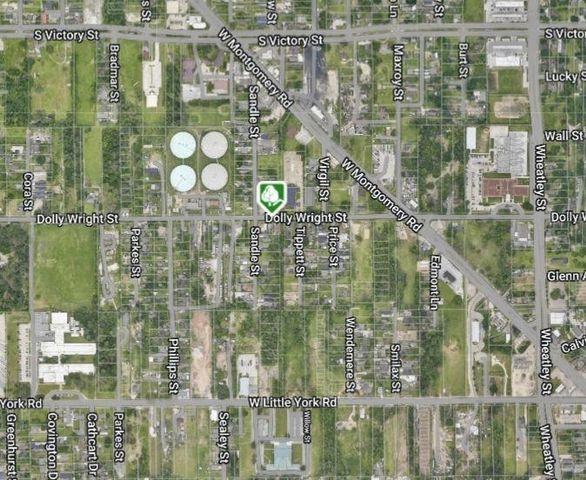 0 Dolly Wright Street, Houston, TX 77088