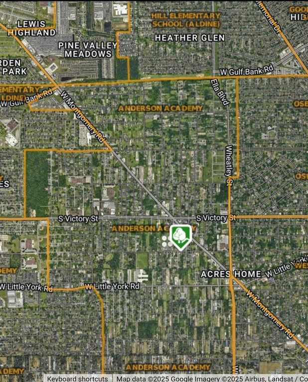 0 Dolly Wright Street, Houston, TX 77088