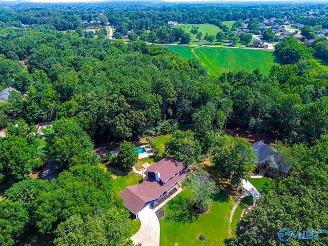 207 Earl Vaughn Drive, Huntsville, AL 35806