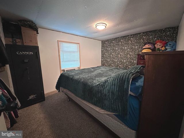 160 STEFANKO LN, Augusta, WV 26704
