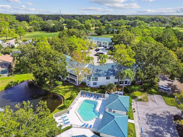 3582 INDIGO POND DRIVE, Palm Harbor, FL 34685