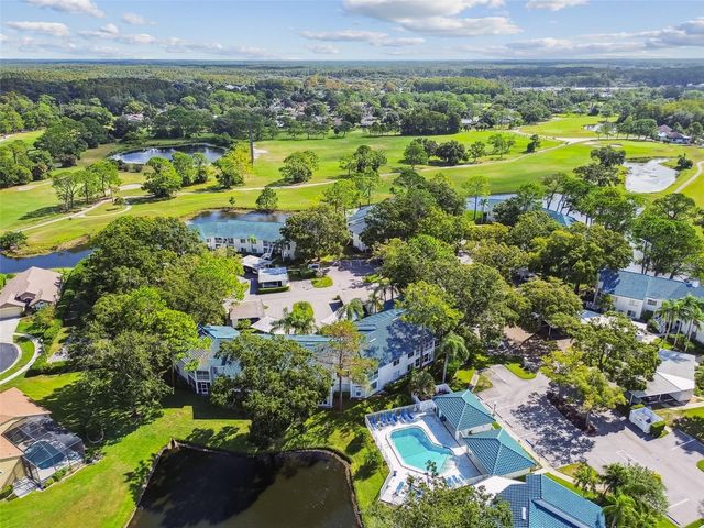 3582 INDIGO POND DRIVE, Palm Harbor, FL 34685