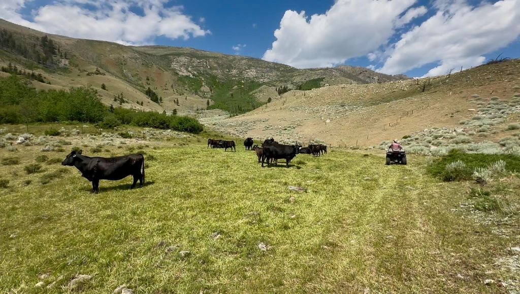 409 Tolman Rd, Clark, WY 82435 photo 2