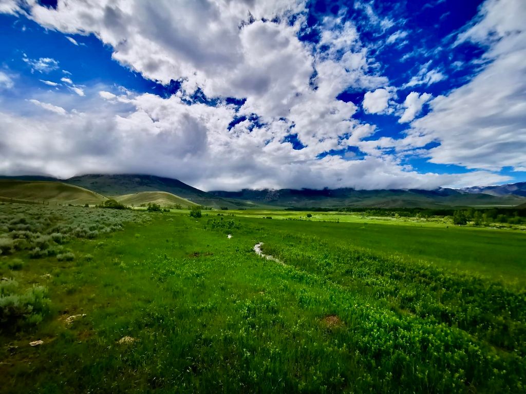 409 Tolman Rd, Clark, WY 82435 photo 3