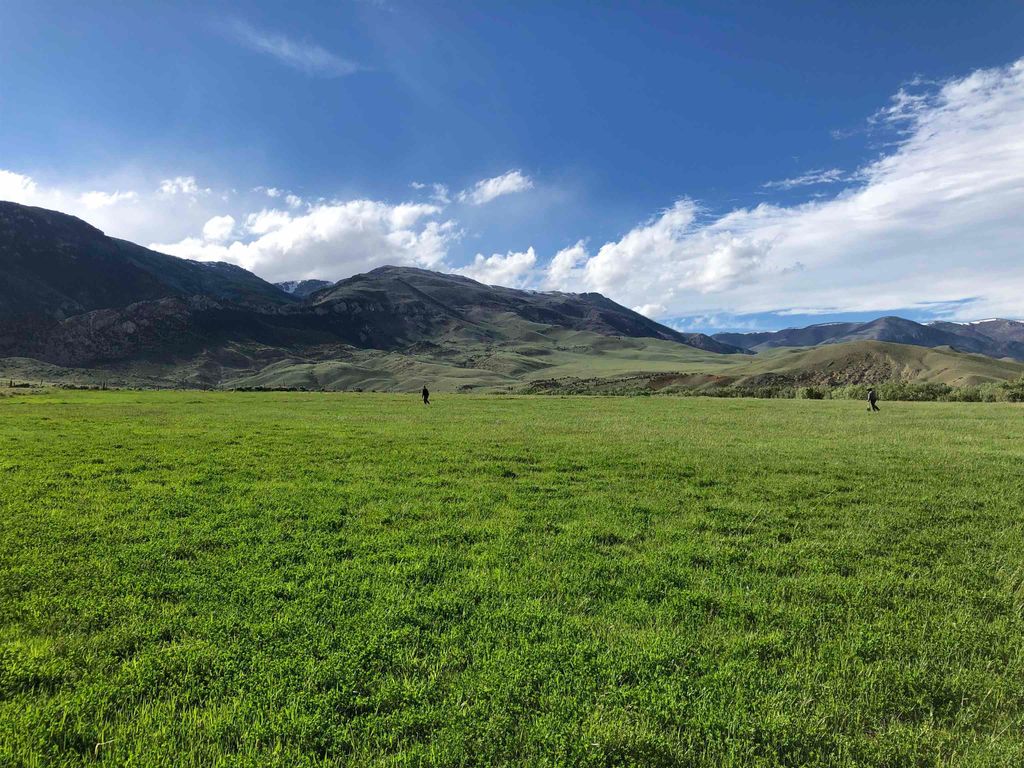 409 Tolman Rd, Clark, WY 82435 photo 5