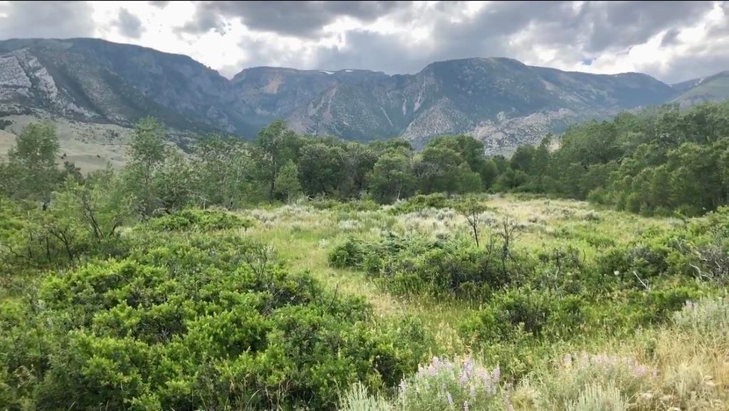 409 Tolman Rd, Clark, WY 82435 photo 6