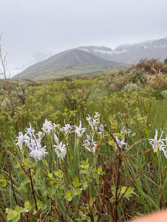 409 Tolman Rd, Clark, WY 82435 photo 65