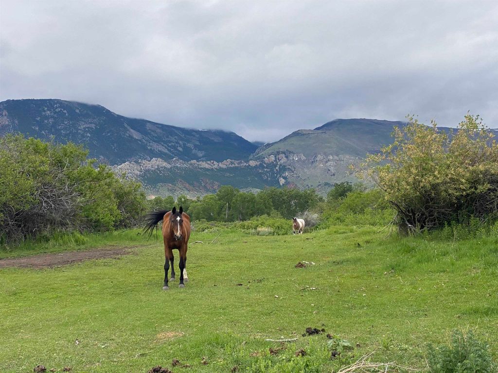 409 Tolman Rd, Clark, WY 82435 photo 69