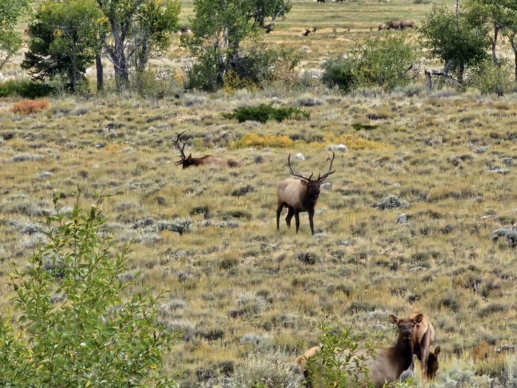 409 Tolman Rd, Clark, WY 82435 photo 71