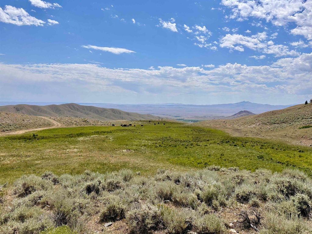 409 Tolman Rd, Clark, WY 82435 photo 75