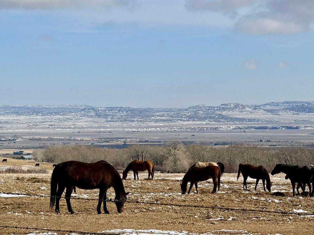409 Tolman Rd, Clark, WY 82435 photo 88