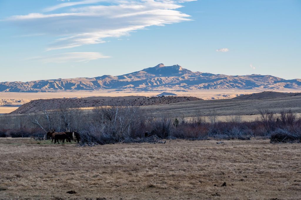 409 Tolman Rd, Clark, WY 82435 photo 93