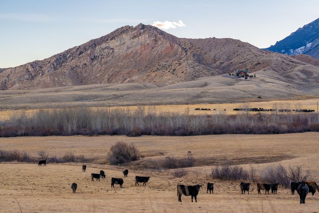 409 Tolman Rd, Clark, WY 82435 photo 94