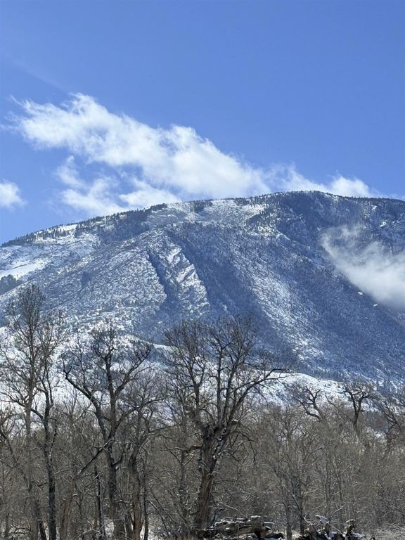 409 Tolman Rd, Clark, WY 82435 photo 95