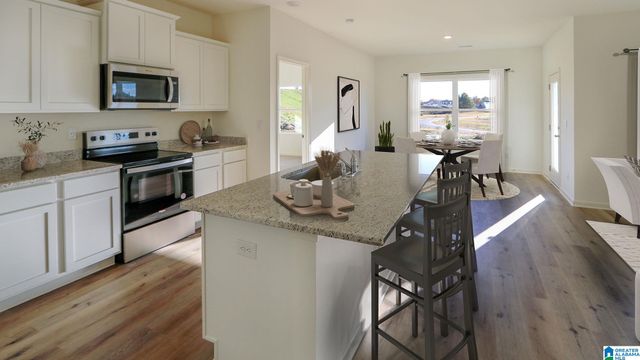 4456 ROSSER FARMS PARKWAY, Bessemer, AL 35022