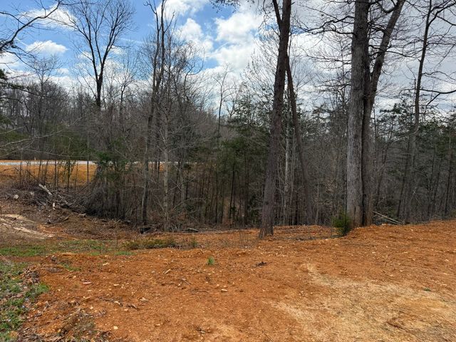 Lot 4 Phase 2 Stearns Hollow Road, Monticello, KY 42633