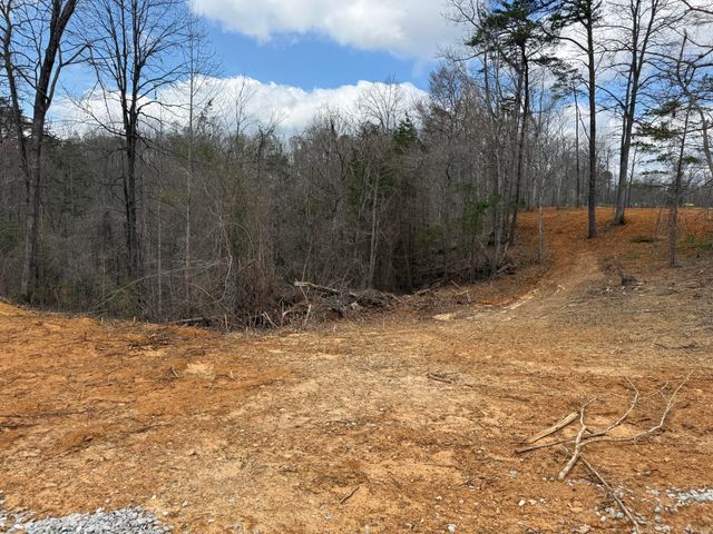Lot 4 Phase 2 Stearns Hollow Road, Monticello, KY 42633