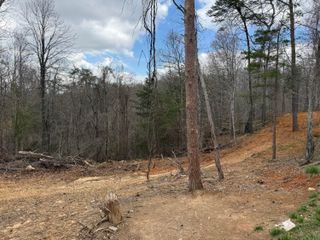 Lot 4 Phase 2 Stearns Hollow Road, Monticello, KY 42633