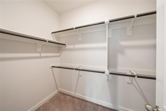 347 Great Hills Dr, Montgomery, TX 77316