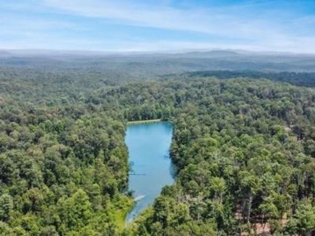 0 Canoe Point, Ellijay, GA 30540