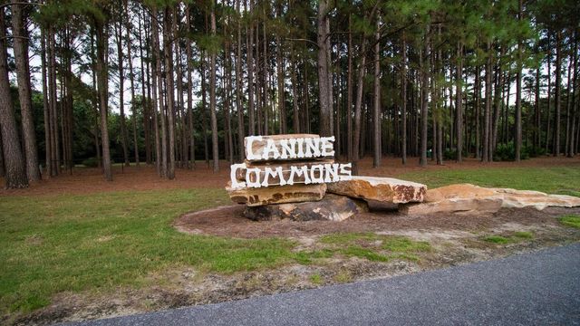 18 Canopy Cove, Freeport, FL 32439