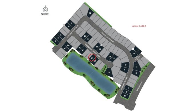 6130 Wildflower Fields Court, Richmond, TX 77469