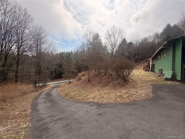 461 Back Shandelee Road, Livingston Manor, NY 12758