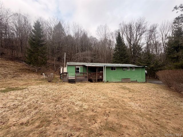 461 Back Shandelee Road, Livingston Manor, NY 12758