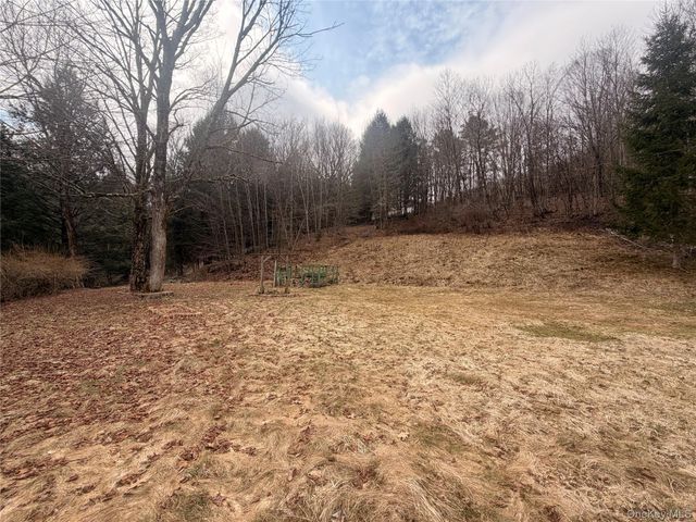 461 Back Shandelee Road, Livingston Manor, NY 12758
