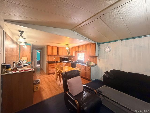461 Back Shandelee Road, Livingston Manor, NY 12758