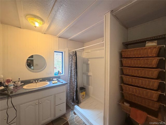 461 Back Shandelee Road, Livingston Manor, NY 12758