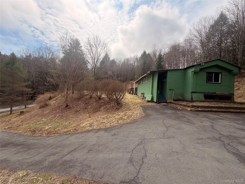 461 Back Shandelee Road, Livingston Manor, NY 12758