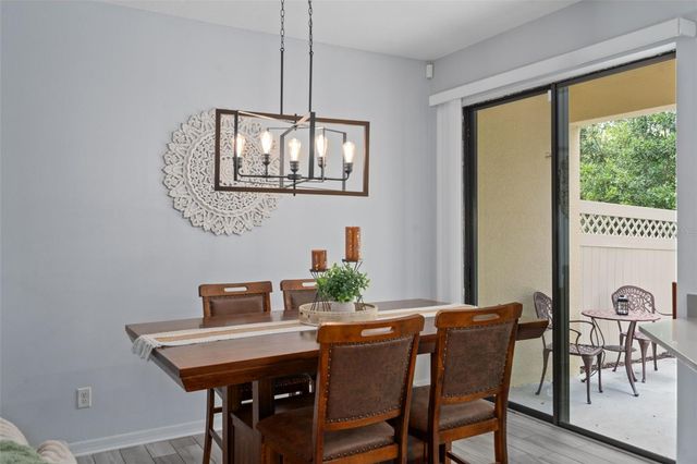 11504 CROWNED SPARROW LANE, Tampa, FL 33626