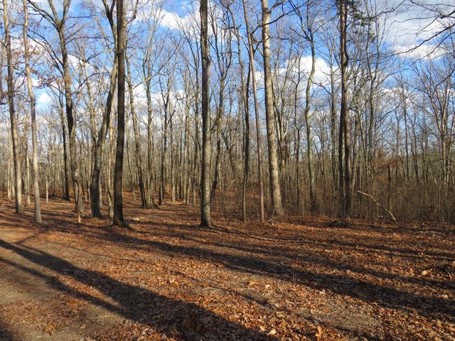 14 Higgenbotham Turkpike, Altamont, TN 37301
