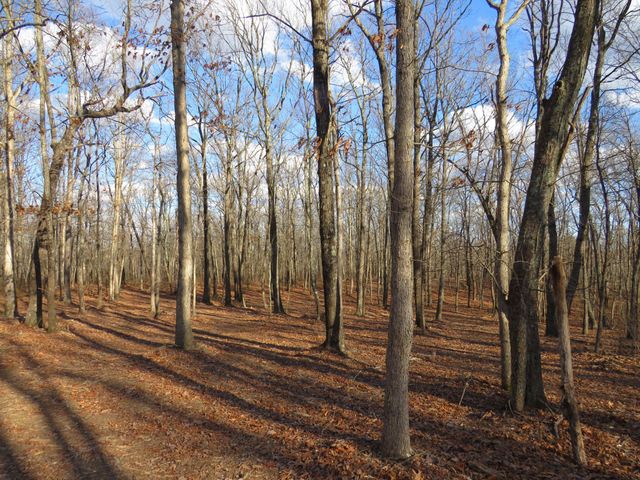 14 Higgenbotham Turkpike, Altamont, TN 37301