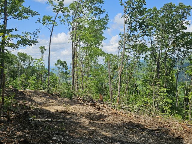 14 Higgenbotham Turkpike, Altamont, TN 37301
