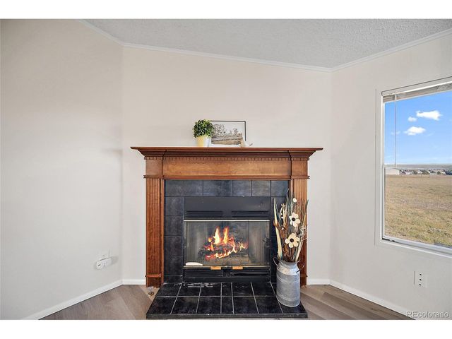 15125 Ewing Ct, Peyton, CO 80831