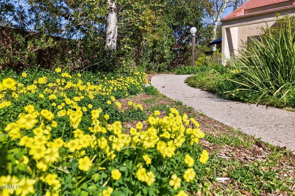 Image 6 of property listing at 203 N Carrillo Road B, Ojai, CA 93023