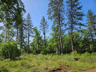 6.28 acres Highway 44, Shingletown, CA 96088