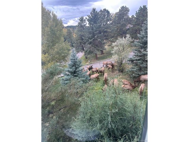 21946 Panorama Dr, Golden, CO 80401