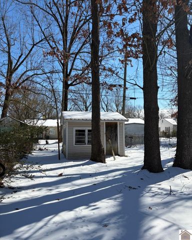 2922 Georgia Street, Paducah, KY 42003