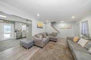 249 Sheffield Drive, Saline City, MI 48176