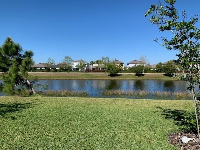 6234 COLMAR PLACE, Apollo Beach, FL 33572