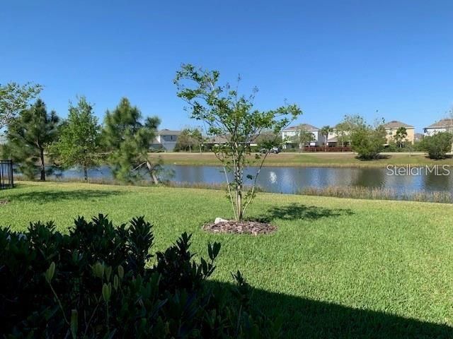 6234 COLMAR PLACE, Apollo Beach, FL 33572