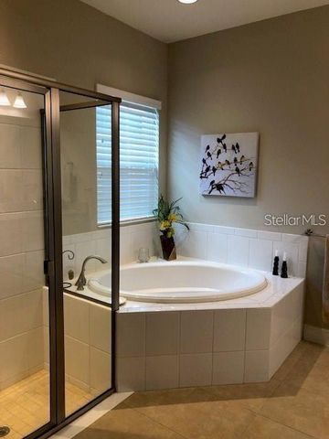 6234 COLMAR PLACE, Apollo Beach, FL 33572