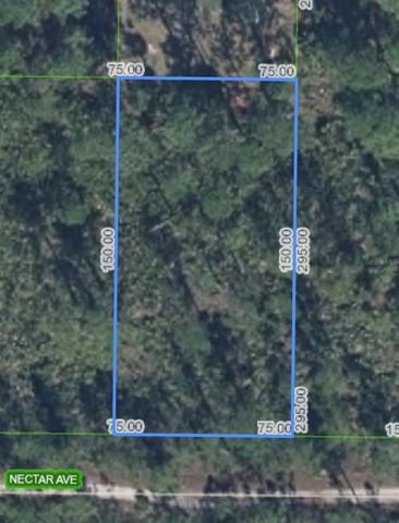 1702 NECTAR AVENUE, Sebring, FL 33875