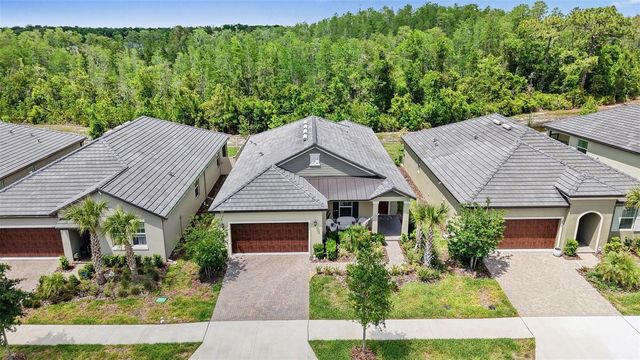 10395 BANYAN BREEZE BOULEVARD, Land O Lakes, FL 34638