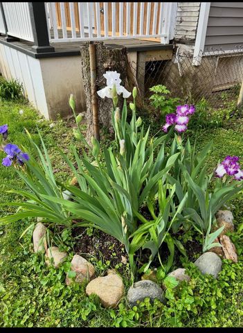 63 N Ogden Avenue, Columbus, OH 43204