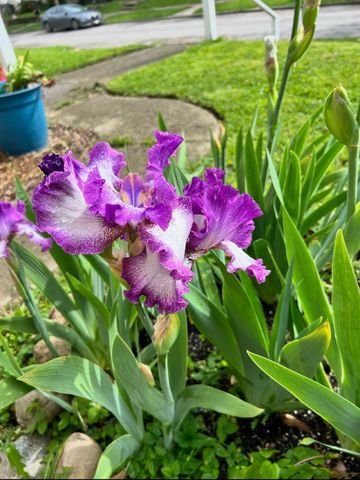 63 N Ogden Avenue, Columbus, OH 43204